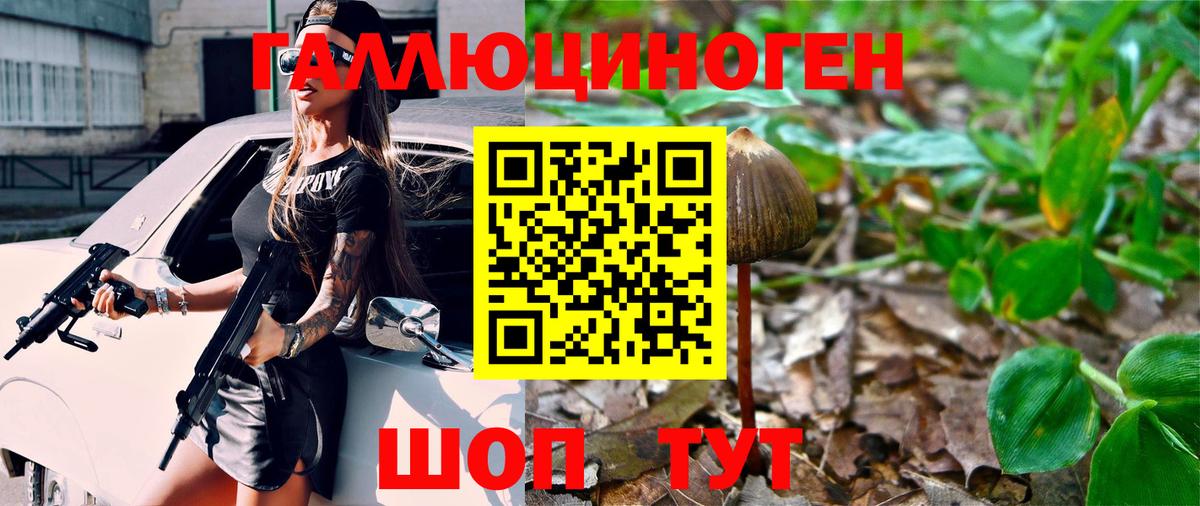 Псилоцибиновые грибы Cubensis  Вход с VPN  Похвистнево 